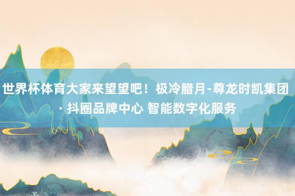 世界杯体育大家来望望吧！极冷腊月-尊龙时凯集团 · 抖圈品牌中心 智能数字化服务