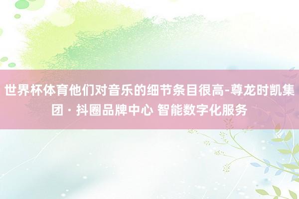 世界杯体育他们对音乐的细节条目很高-尊龙时凯集团 · 抖圈品牌中心 智能数字化服务