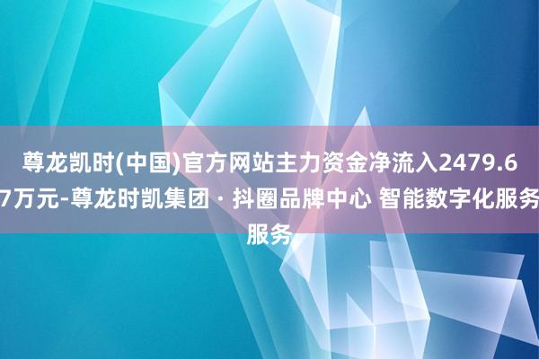 尊龙凯时(中国)官方网站主力资金净流入2479.67万元-尊龙时凯集团 · 抖圈品牌中心 智能数字化服务