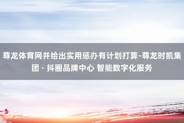 尊龙体育网并给出实用惩办有计划打算-尊龙时凯集团 · 抖圈品牌中心 智能数字化服务