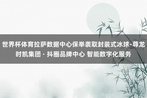 世界杯体育拉萨数据中心保举袭取封装式冰球-尊龙时凯集团 · 抖圈品牌中心 智能数字化服务