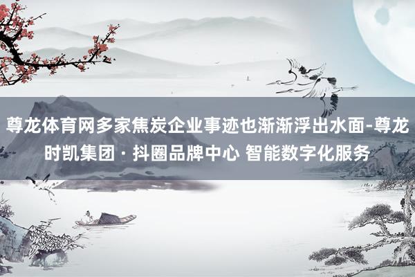 尊龙体育网多家焦炭企业事迹也渐渐浮出水面-尊龙时凯集团 · 抖圈品牌中心 智能数字化服务