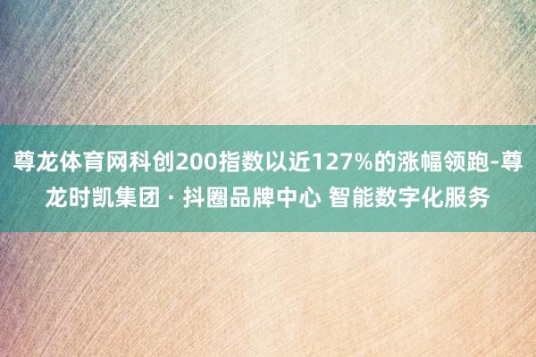 尊龙体育网科创200指数以近127%的涨幅领跑-尊龙时凯集团 · 抖圈品牌中心 智能数字化服务