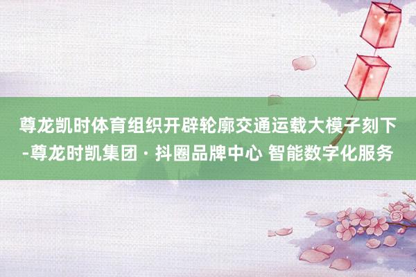 尊龙凯时体育　　组织开辟轮廓交通运载大模子　　刻下-尊龙时凯集团 · 抖圈品牌中心 智能数字化服务