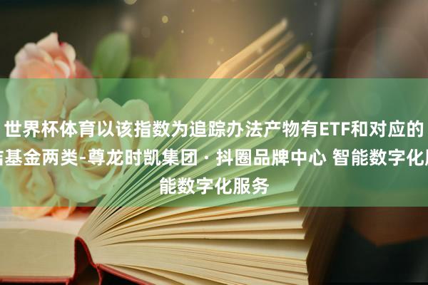 世界杯体育以该指数为追踪办法产物有ETF和对应的联结基金两类-尊龙时凯集团 · 抖圈品牌中心 智能数字化服务