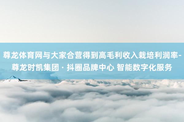 尊龙体育网与大家合营得到高毛利收入栽培利润率-尊龙时凯集团 · 抖圈品牌中心 智能数字化服务