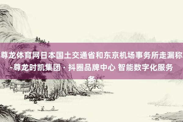 尊龙体育网日本国土交通省和东京机场事务所走漏称-尊龙时凯集团 · 抖圈品牌中心 智能数字化服务